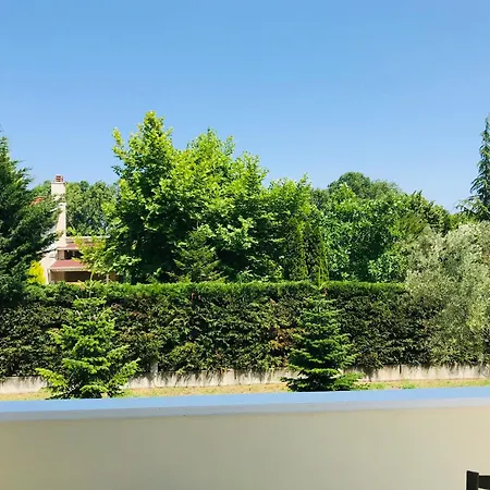 Dimeli