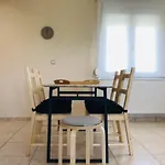 Dimeli * 里托楚伦