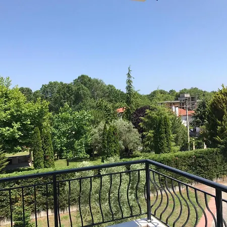 Dimeli
