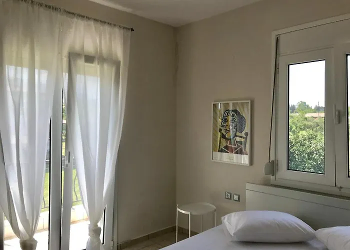 Dimeli * 里托楚伦