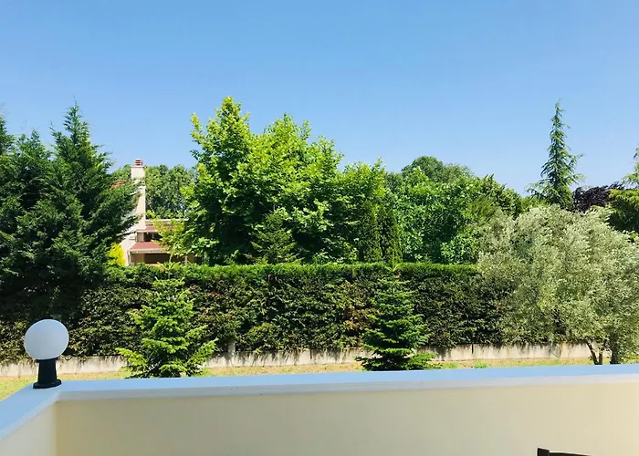 Dimeli